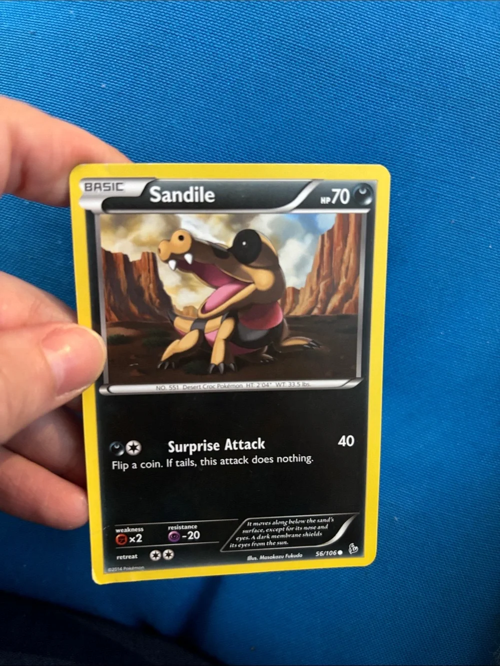 Pokemon nwots pokémon